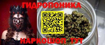 каннабис Будённовск